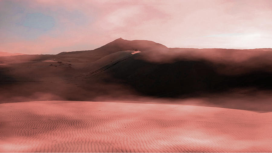 Brown Sand Field - Surreal Art By Ahmet Asar Digital Art
