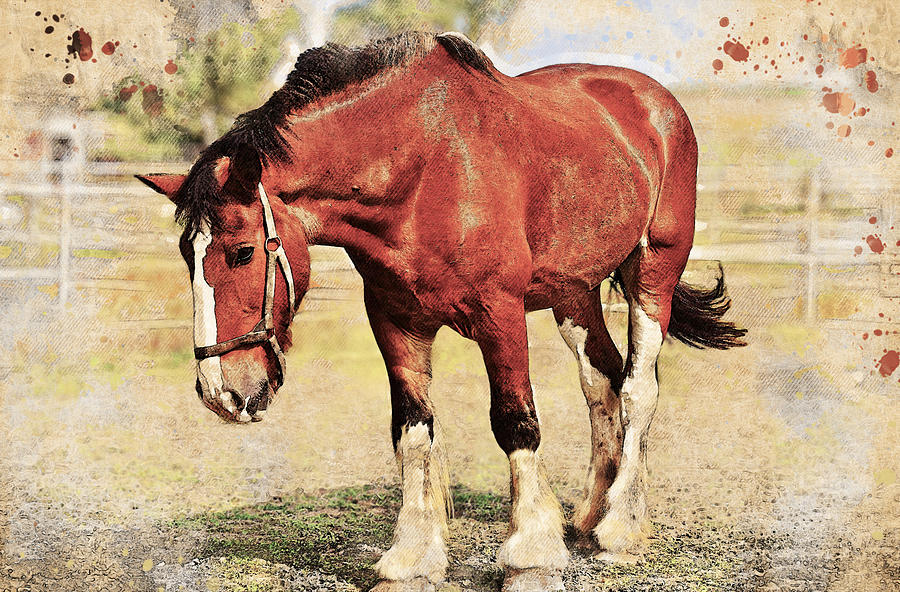 Brown shire horse outside - digital painting with vintage look Digital Art by Nicko Prints