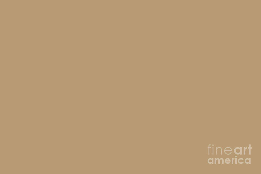 Brown Solid Color Pairs Sherwin Williams Mesa Tan SW 7695 Digital Art by PIPA Fine Art - Simply Solid