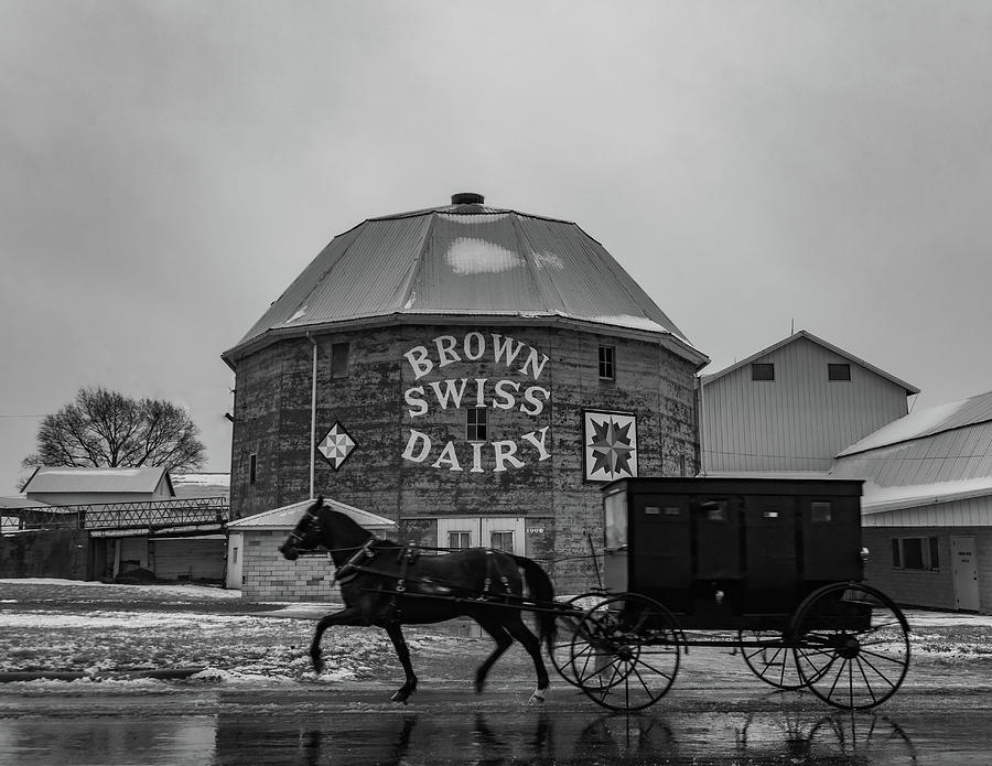 Brown Swiss Dairy Round Barn In Black And White Photograph by Scott Smith