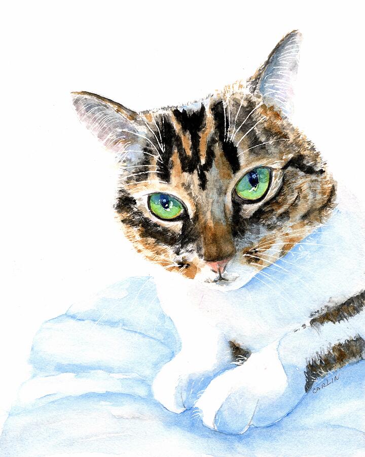 Brown Tabby with White Chest Painting by Carlin Blahnik CarlinArtWatercolor