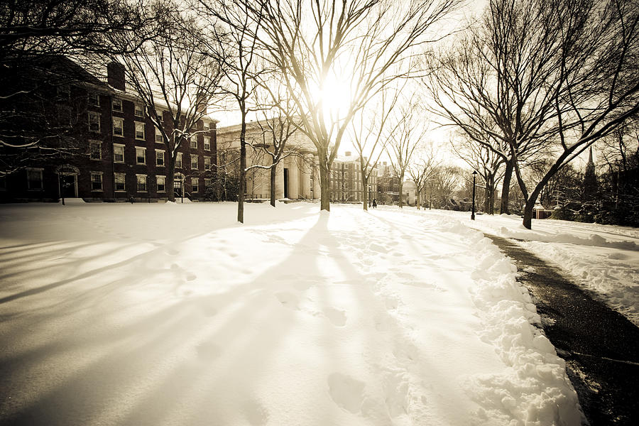 Brown University in winter Photograph by Kickstand