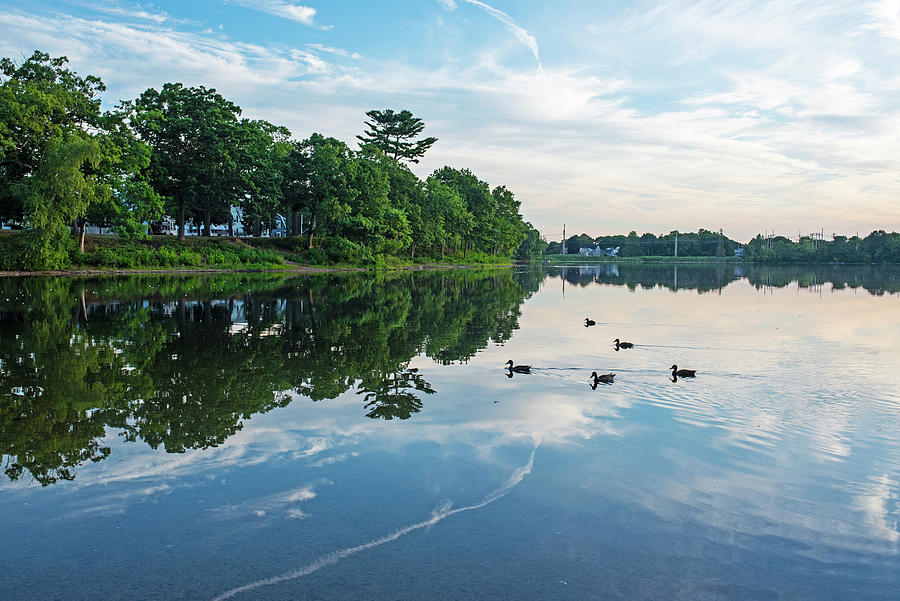 Browns Pond Swimming Ducks Peabody Massachusetts Reflection Trees Photograph by Toby McGuire