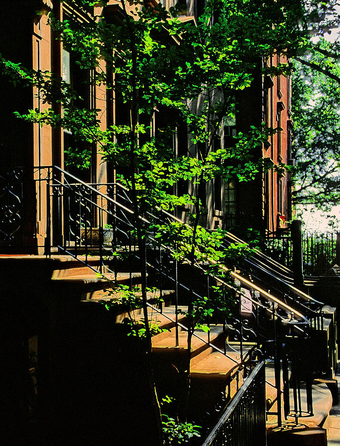Brownstones and Backlit Trees in Summer - A Brooklyn Heights Impression Photograph by Steve Ember