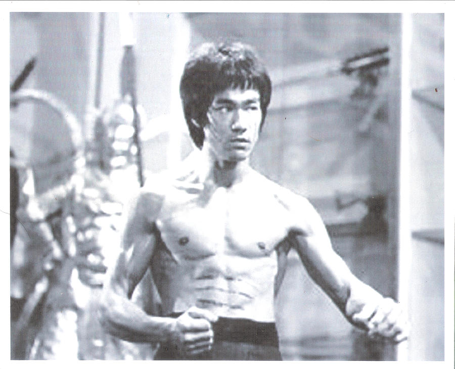 bruce lee the one