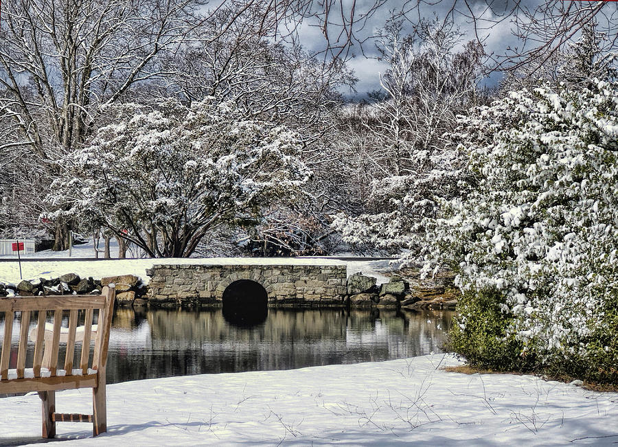 Bruce Park In the Snow Digital Art by Cordia Murphy