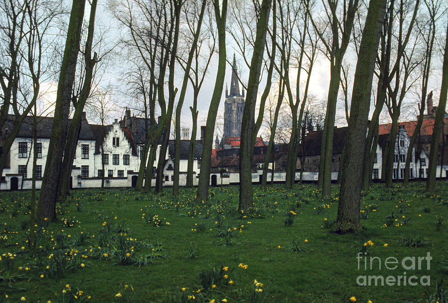Bruges Beguinage Photograph by Bob Phillips