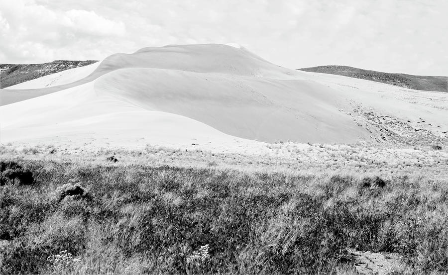 Bruneau Sand Dunes Idaho BW Photograph by Bob Pardue