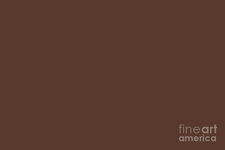 Brunette Dark Brown Red Solid Color Pairs To Sherwin Williams Terra Brun SW 6048 Digital Art by PIPA Fine Art - Simply Solid