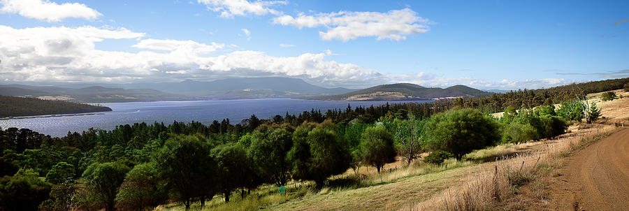 Bruny Island Orchard Photograph by Frank Lee