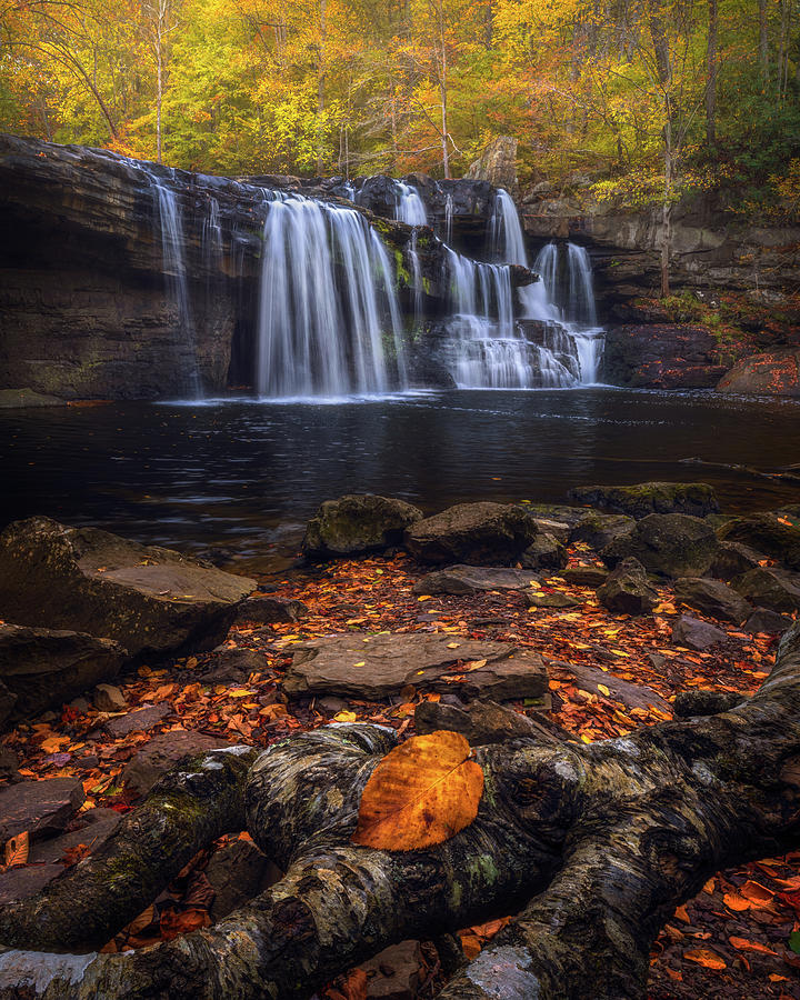 Brush Creek Falls in Autumn Photograph by SC Shank