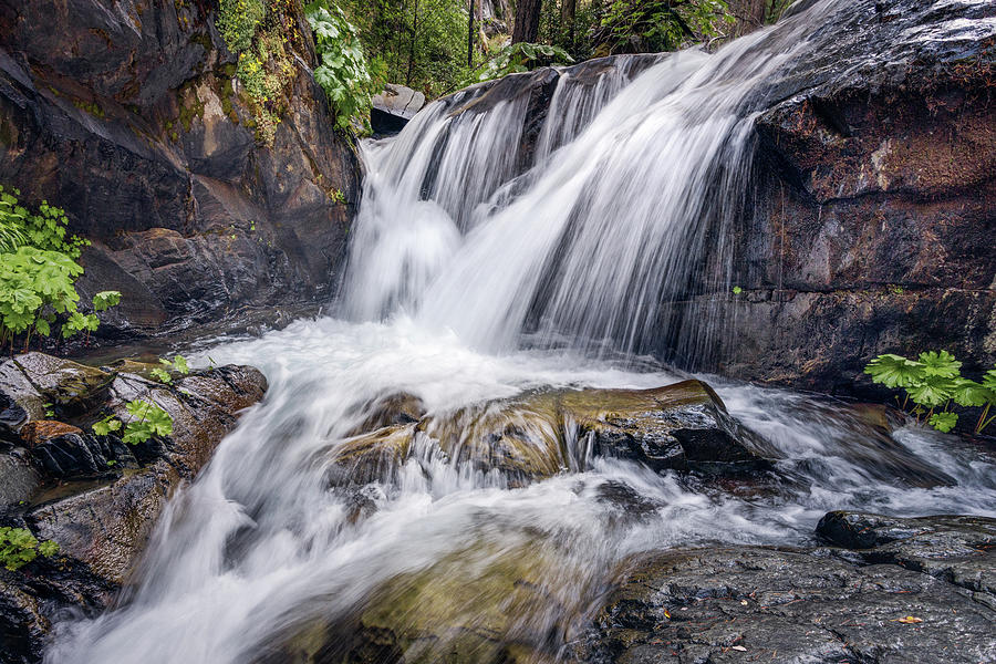 Brush Creek Upper Waterfall Photograph by Gary Geddes