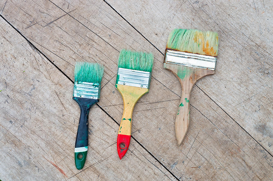 Brush In Green Paint Photograph by Balakleypb