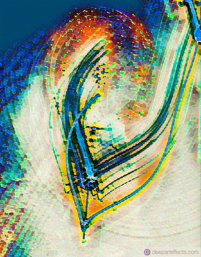 Brush Stroke Drawing - Brush Stroke by Vickie Hibler Brush Stroke Drawing - Brush Stroke by Vickie Hibler