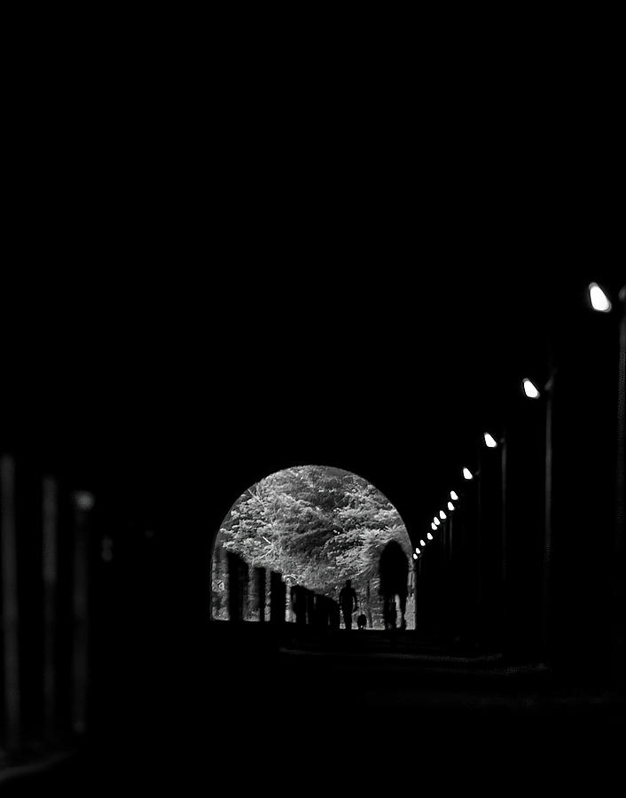 Brush Tunnel Photograph by Amber Kresge