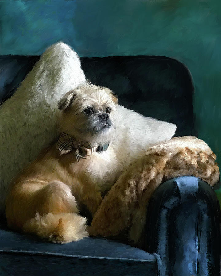 Brussels Griffon Portrait Painting by Portraits By NC