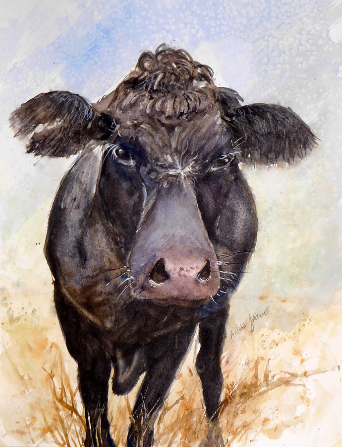 Brutus the Angus Painting by Anna Jacke