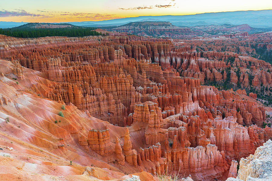 Bryce Amphitheater at Sunrise  Photograph by Ron Long Ltd Photography
