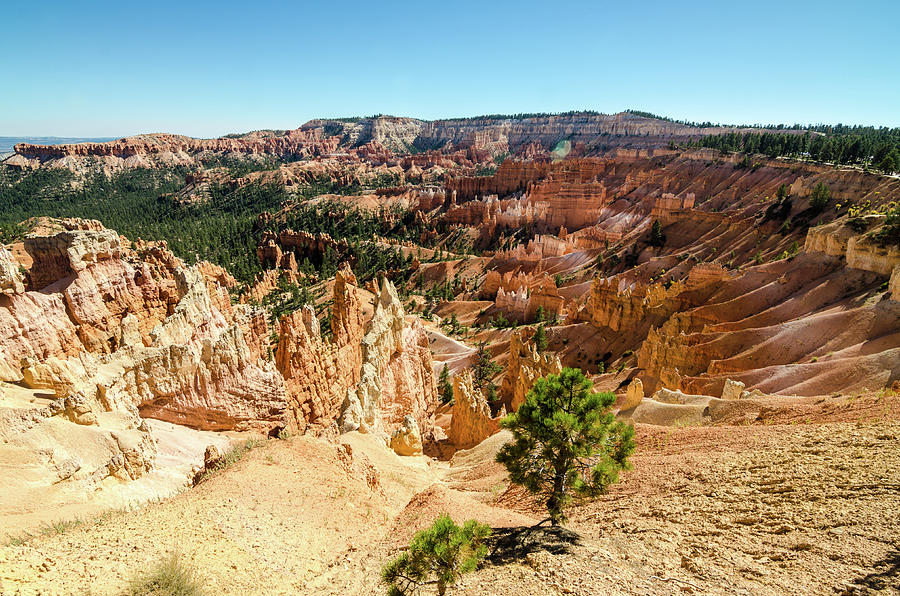 Bryce and its Beauty Photograph by Margaret Pitcher