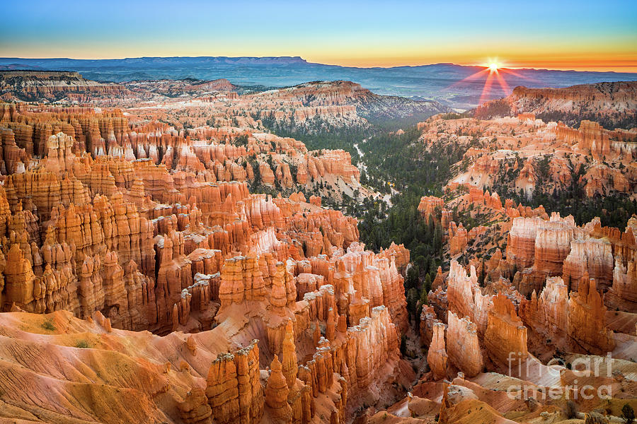Bryce at Dawn Photograph by Inge Johnsson
