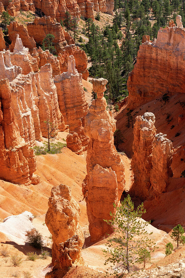 Bryce Canyon 44 Photograph
