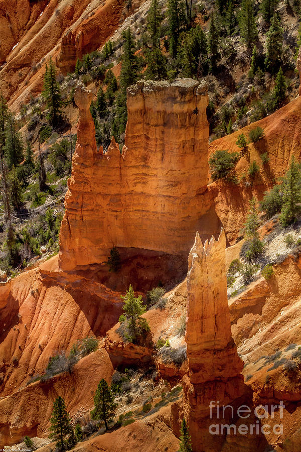 Bryce Canyon 5 Photograph