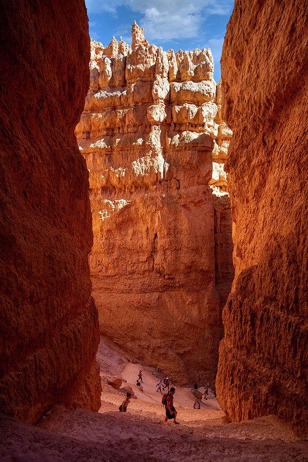 Bryce Canyon 69 Photograph by Ricky Barnard