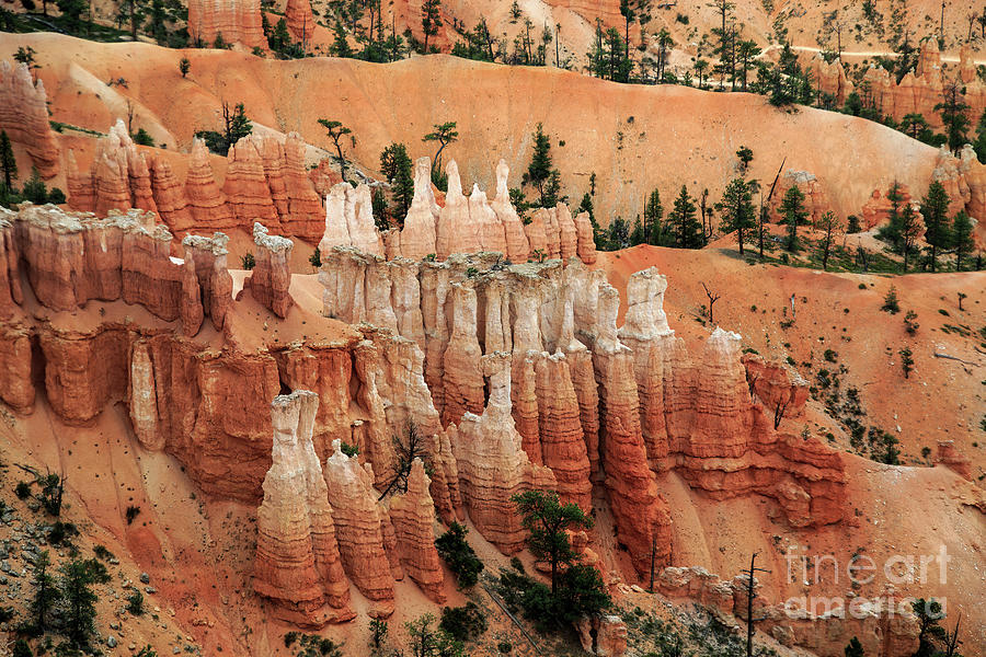 Bryce Canyon National Park Photograph - Bryce Canyon  8b8263 by Stephen Parker
