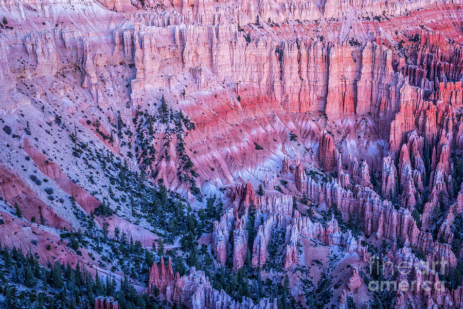 Bryce Canyon Amphitheater Photograph by Charles Dobbs