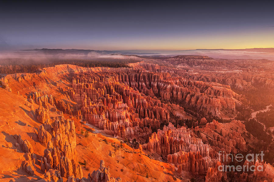 Bryce Canyon amphitheatre at sunrise Utah Photograph by Neale And Judith Clark