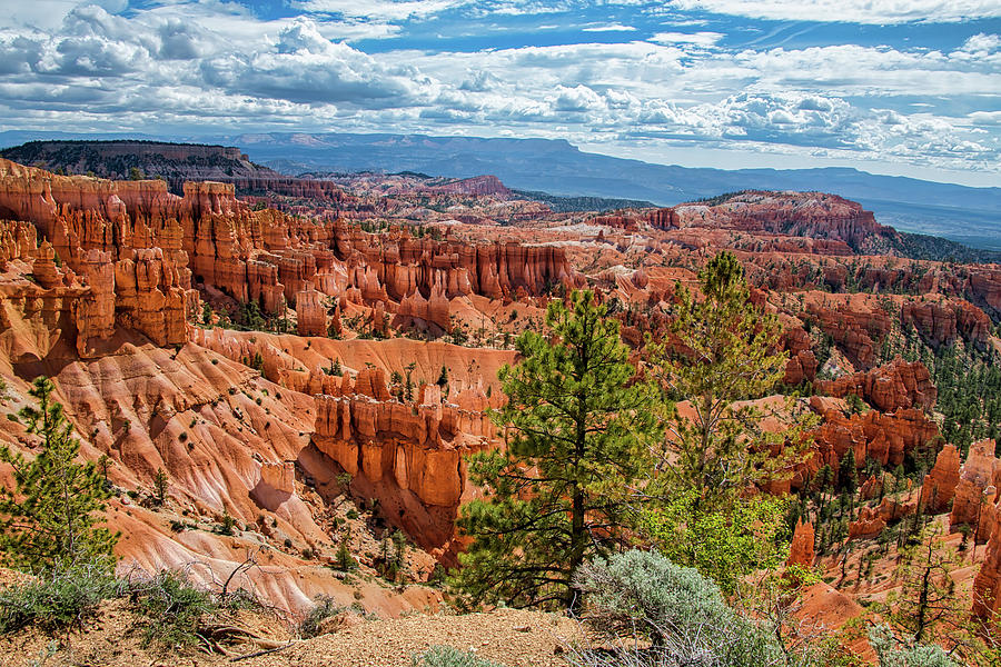 Bryce Canyon Photograph by Anthony Sacco Bryce Canyon Photograph by Anthony Sacco