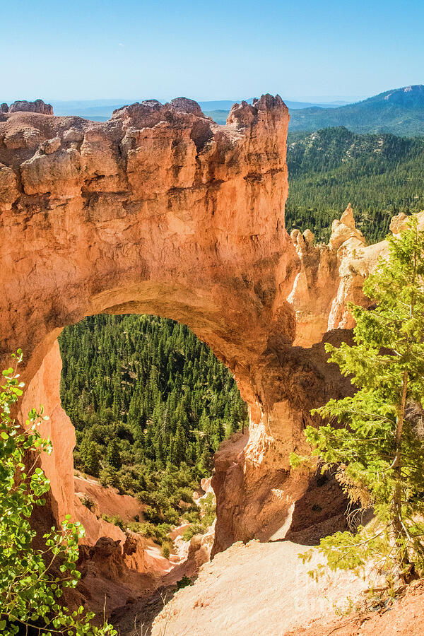 Bryce Canyon Arch by Frederick Ludeman