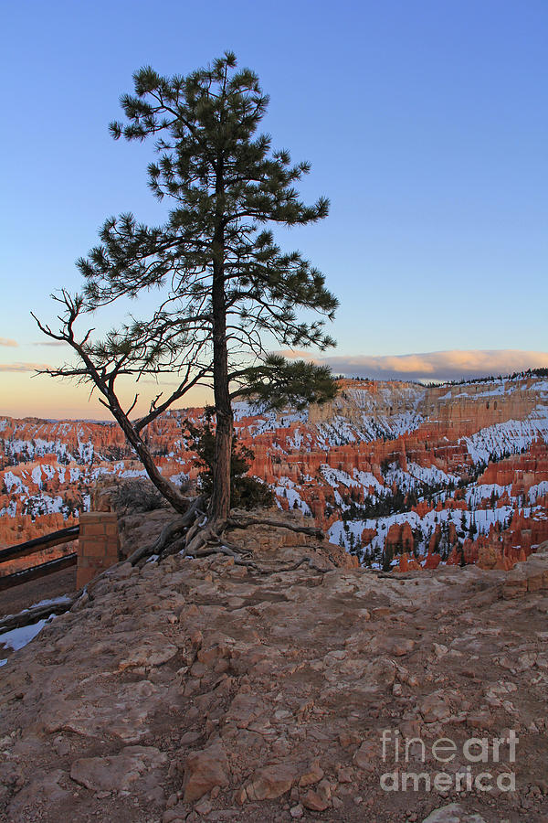 Bryce Canyon at Sunset 2361 Photograph by Jack Schultz