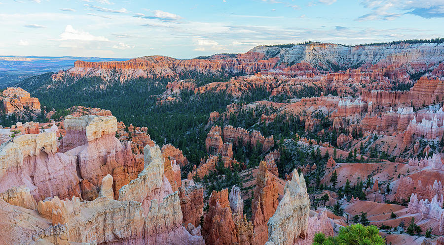 Bryce Canyon at Sunset Photograph by Ron Long Ltd Photography