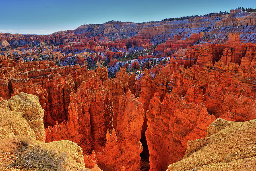 Bryce Canyon Autumn Glory Photograph by Greg Norrell