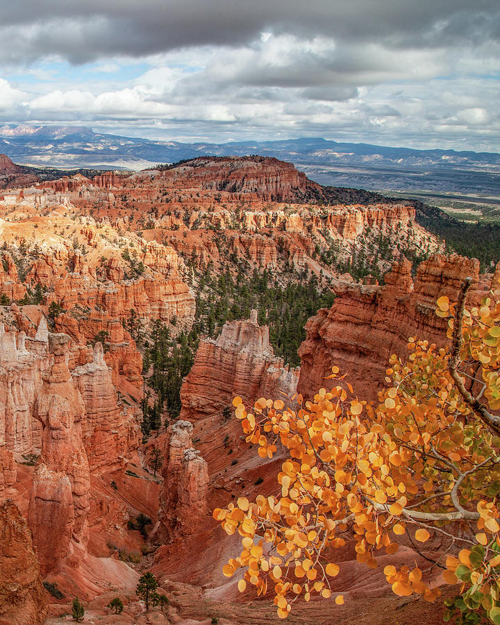 Bryce Canyon Autumn Photograph by Lon Dittrick