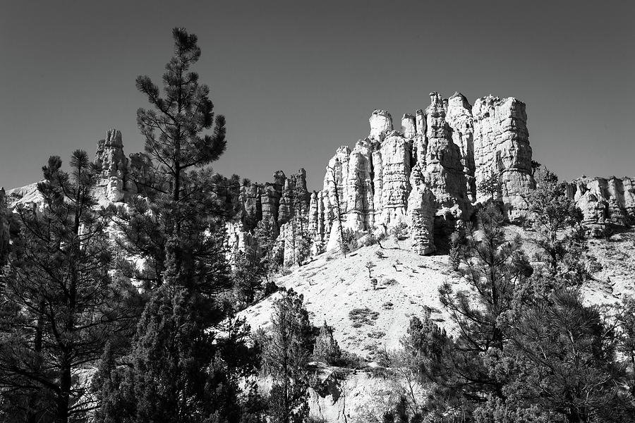 Bryce Canyon Beauty in Black and White Photograph by Andrew Pacheco