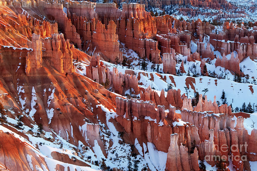  Bryce Canyon Beauty Of The Earth 2 Photograph by Bob Christopher
