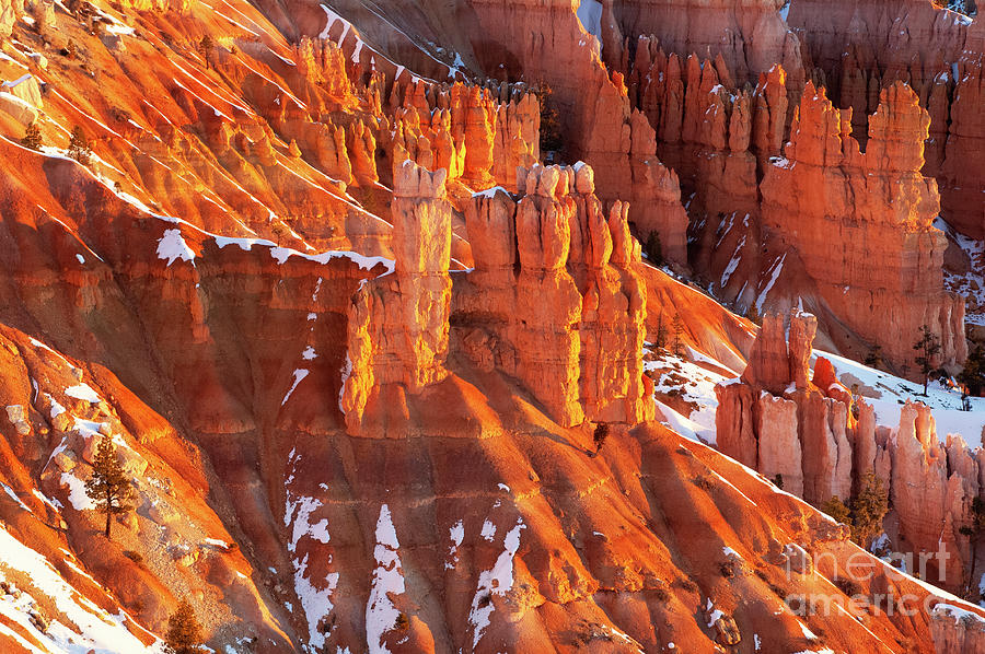 Bryce Canyon Beauty Of The Earth Photograph by Bob Christopher