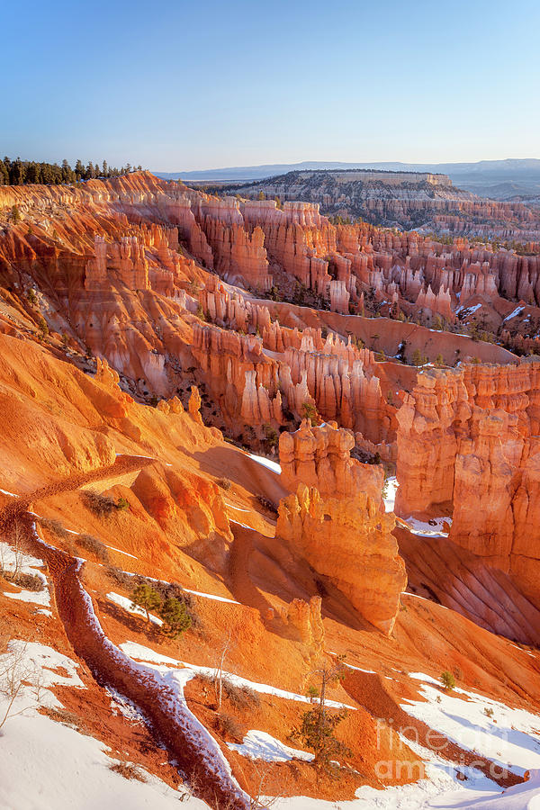 Bryce Canyon Photograph by Brian Jannsen