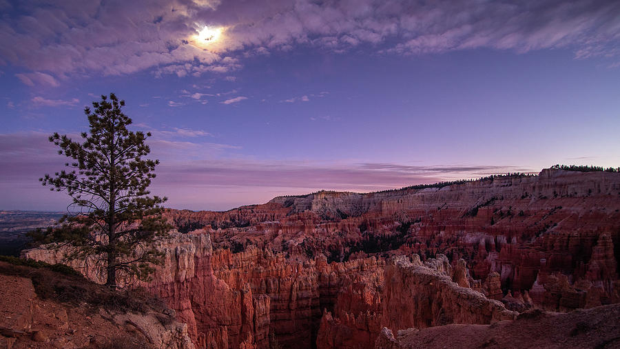 Bryce Canyon Photograph by Bryan Xavier