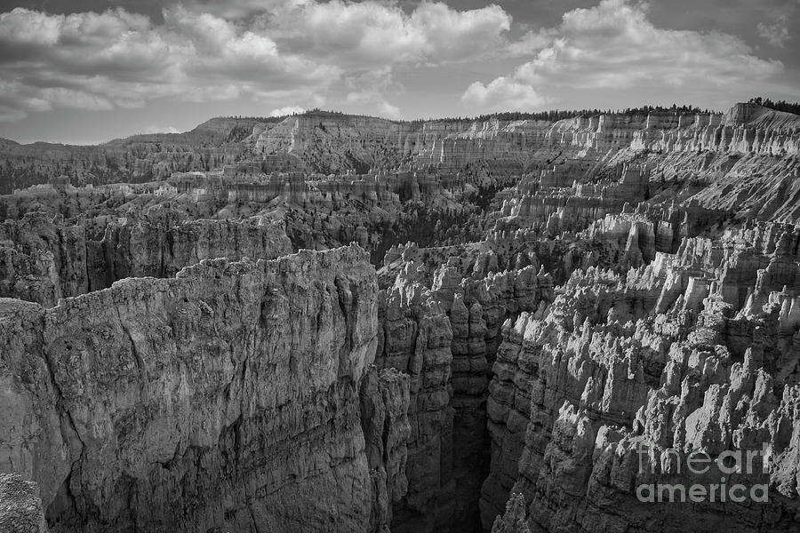 Bryce Canyon BW III  Photograph by Chuck Kuhn