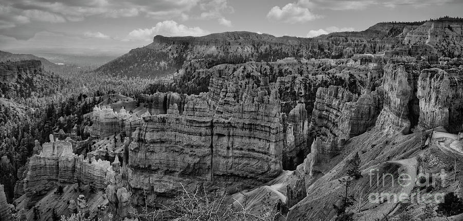 Bryce Canyon BW IV Photograph by Chuck Kuhn