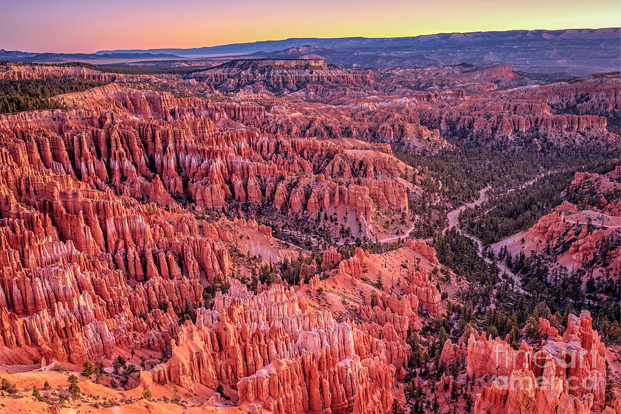 Bryce Canyon Photograph by Charles Dobbs