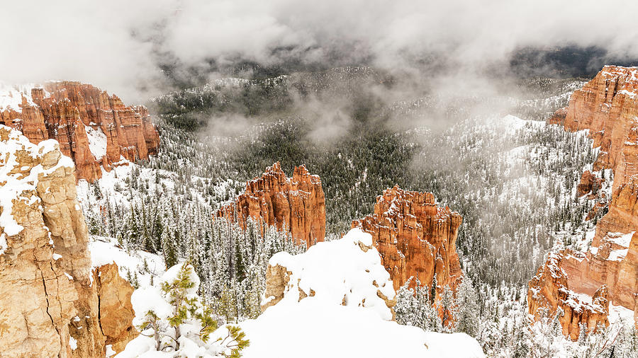 Bryce Canyon Photograph by Constance Puttkemery