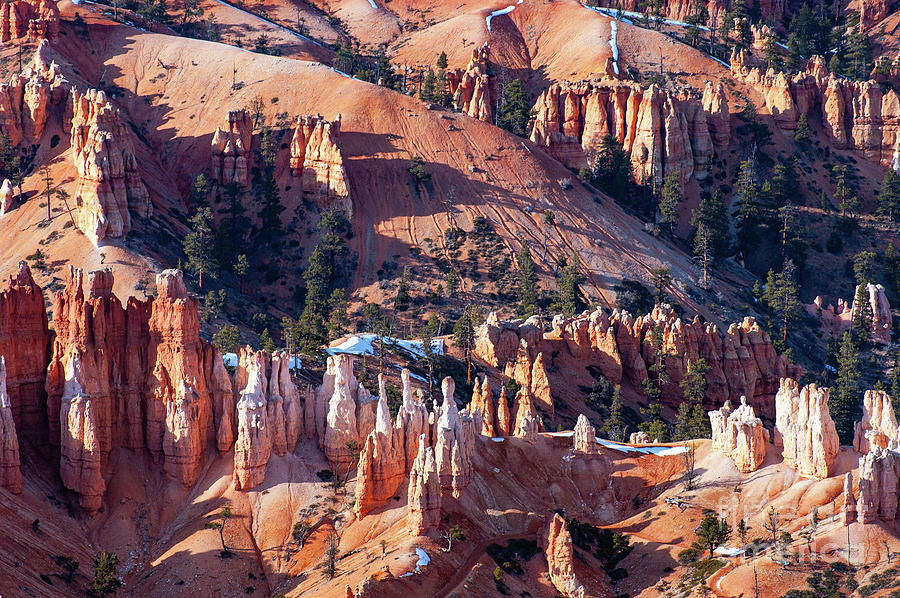 Bryce Canyon Desertscape with Hoodoos Two Photograph by Bob Phillips