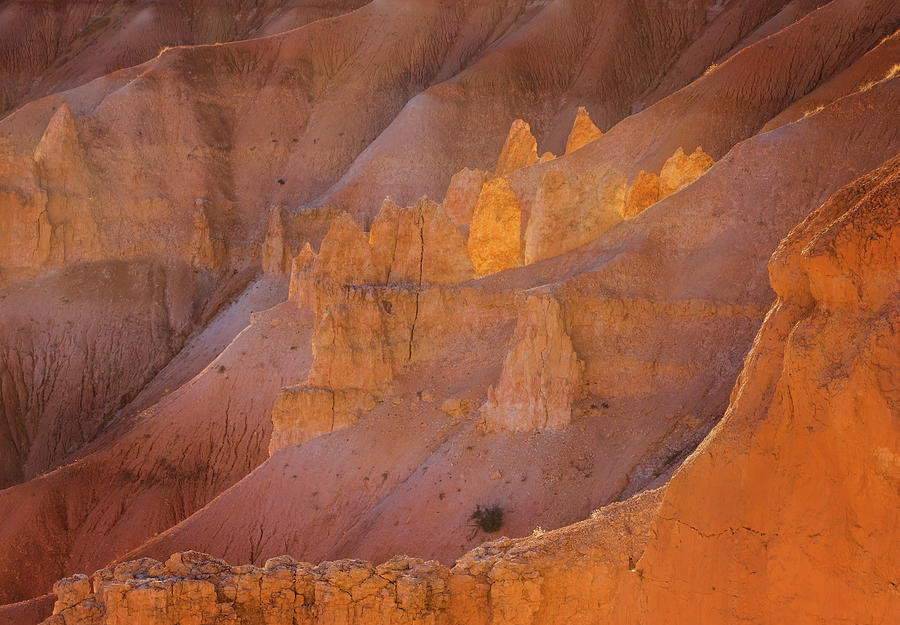 Bryce Canyon Detail Photograph by Jean Noren