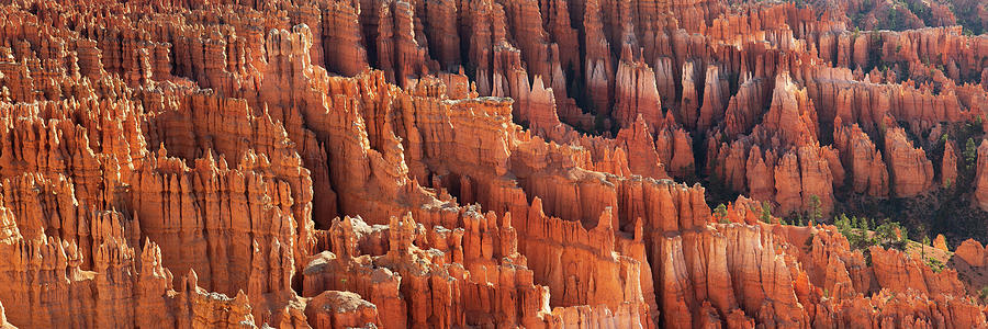 Bryce Canyon Detail Panorama Photograph by Aaron Spong