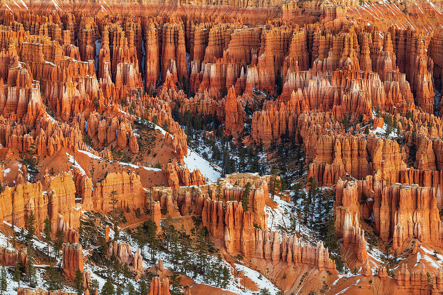 Bryce Canyon Morning Photograph by Patrick Campbell