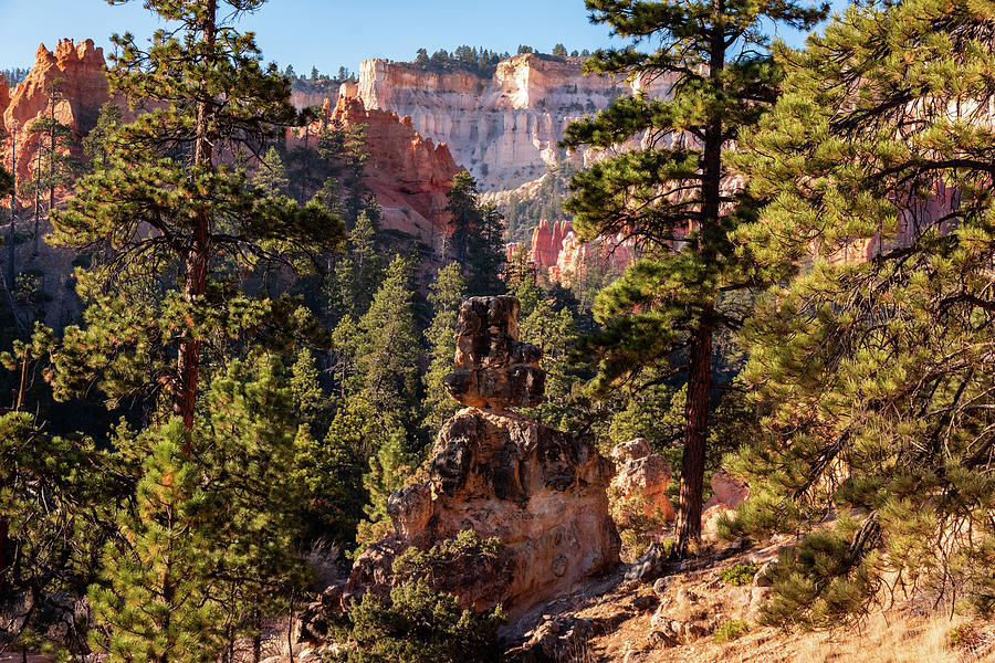 Bryce Canyon Formation Photograph by Nathan Wasylewski